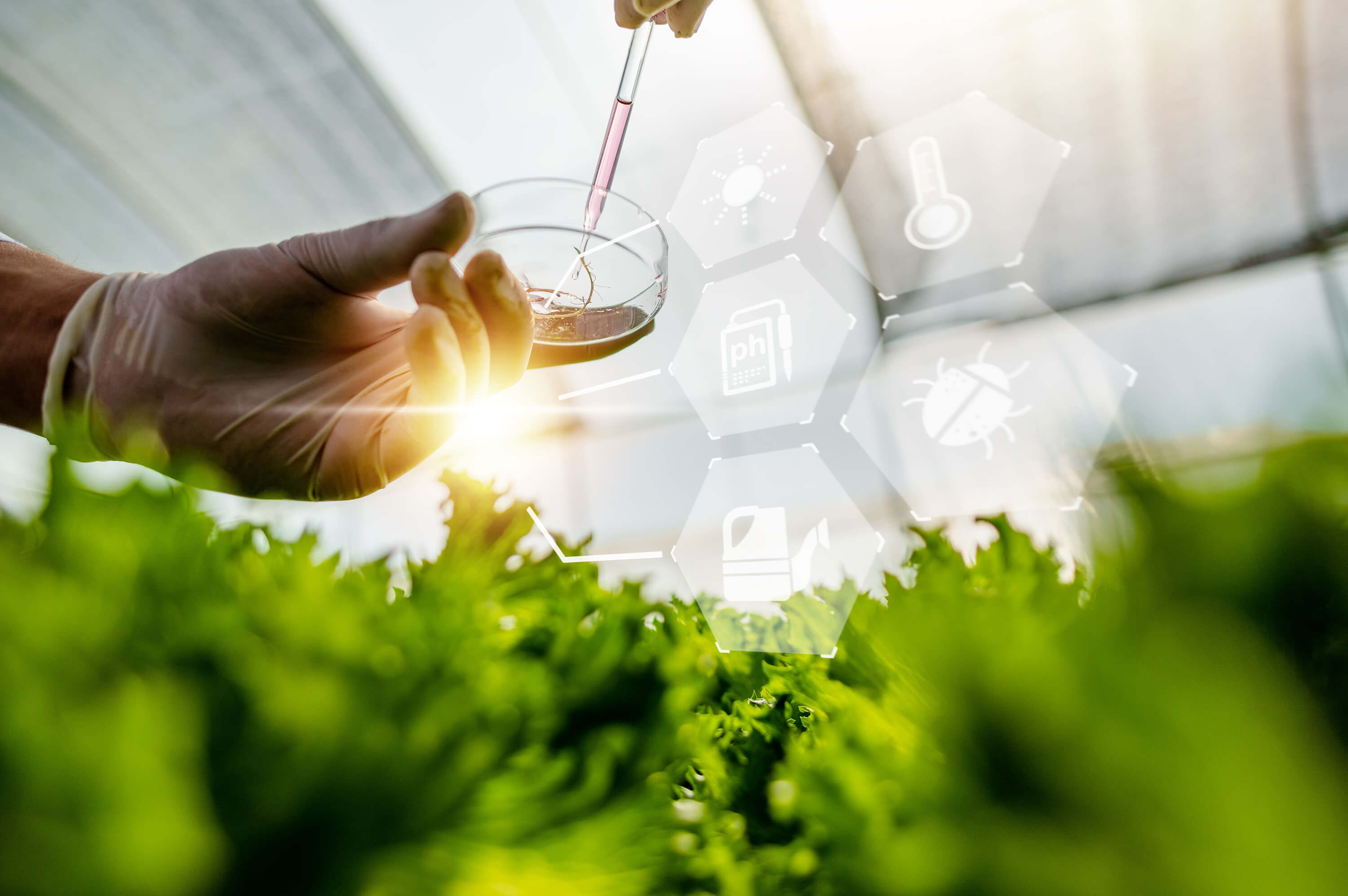 Growing Agriculture, Together